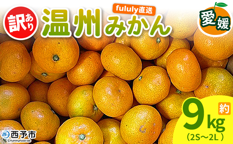 ＜fululy直送 温州みかん 訳あり 約9kg（2S〜2L）＞ ワケアリ サイズ混合 果物 フルーツ 蜜柑 うんしゅうみかん ウンシュウミカン 柑橘 家庭用 合同会社fululy 直送 愛媛県 西予市【常温】『2026年11月上旬～2026年12月中旬迄に順次出荷』