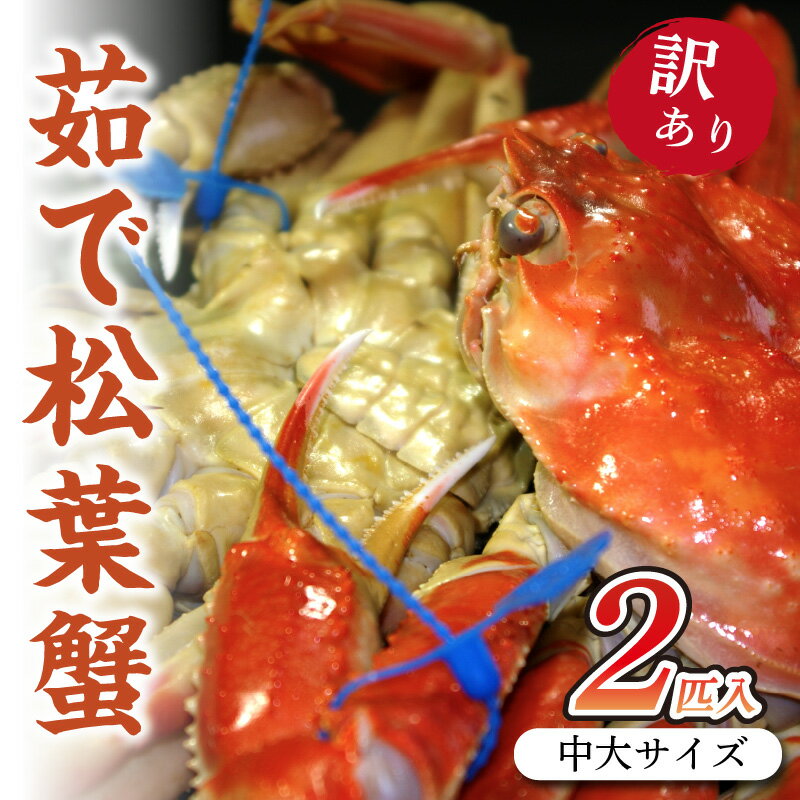 高評価★5.0 高レビュー★ 日本海産　ブランド蟹　茹で松葉蟹【訳あり】中大サイズmatubakani800 2匹入り ズワイガニ 松葉ガニ 800g × 2 国産 カニ ガニ かに 松葉ガニ ボイル 高級 訳あり まるごと 京都 丹後 送料無料