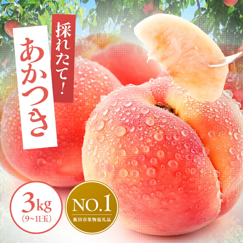 【ふるさと納税】南信州産 桃【あかつき】3kg | 果物 くだもの フルーツ 桃 もも あかつき ジューシー 長野県 信州 飯田市