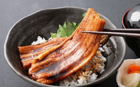 飯田商店 活〆煮穴子一本と刻み穴子のセット タレ付 魚介 魚介類 鮮魚 海鮮 魚 お魚 煮込み あなご 穴子 煮穴子 おかず 惣菜 