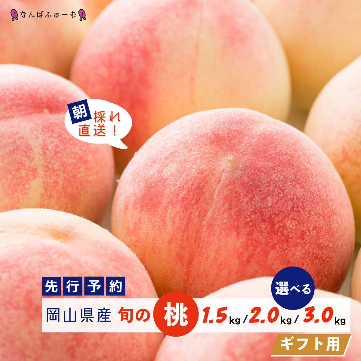 【ふるさと納税】＜選べる容量＞＜数量限定＞［なんばふぁーむ］岡山県産 旬の桃［ギフト用］1.5kg（4～6玉）or 2.0kg（6～9玉）or 3.0kg（9～13玉） | 期間限定 数量限定 桃 もも モモ 甘い フルーツ 果物 くだもの 新鮮 岡山県 鏡野町 送料無料【2025年発送】