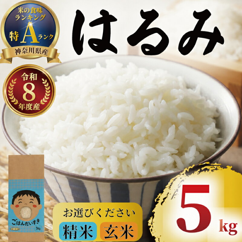 【ふるさと納税】 特Aランク 米 精米 玄米 はるみ 5kg 先行予約 選べる 玄米 こめ 令和8年度産 甘い ツヤ キヌヒカリ コシヒカリ こしひかり kome ※ お米 白米 ブランド米 農家直送 数量限定 産地直送 西山農園 神奈川 湘南 藤沢
