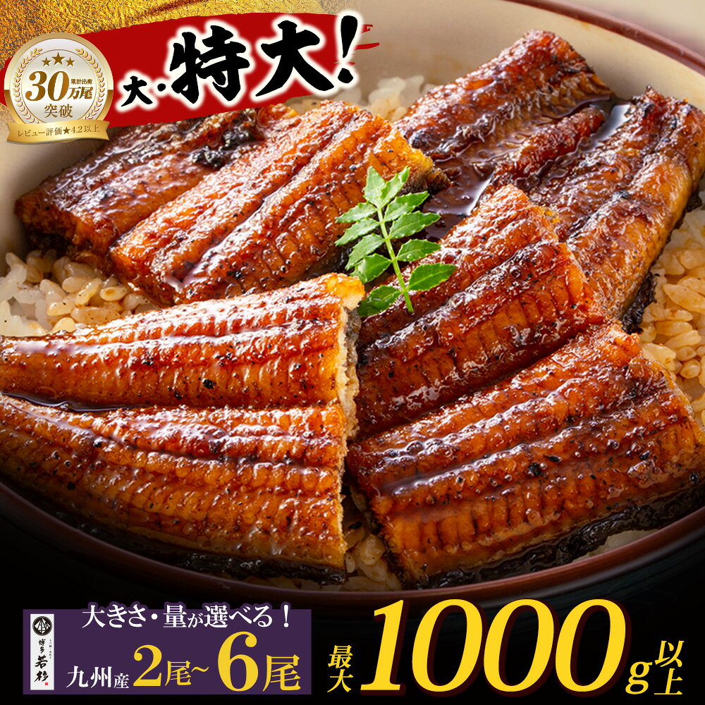 【ふるさと納税】 国産うなぎ蒲焼 大・特大サイズ 2～6尾（計1000g以上）鰻蒲焼用タレ・山椒付 うなぎ生産量 日本一 鹿児島県産 宮崎県産 熊本県産