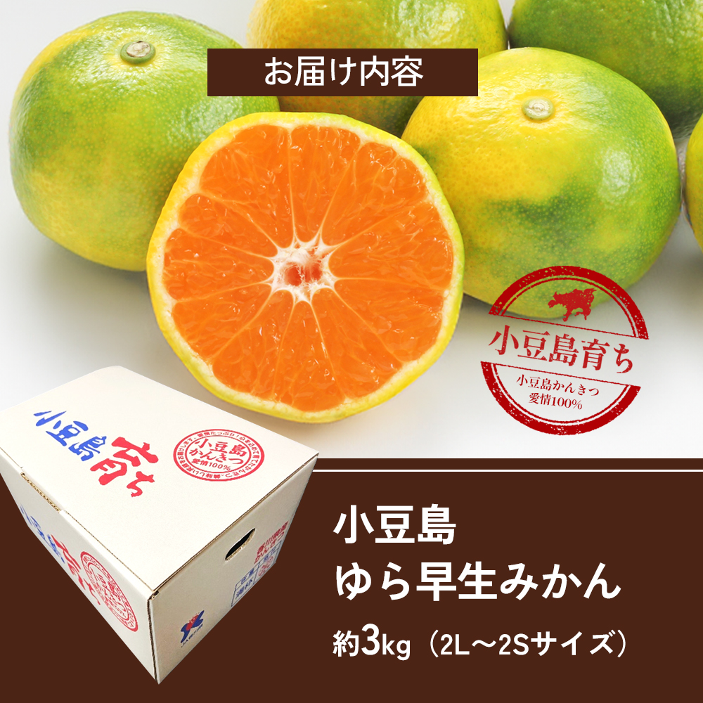 【 小豆島 】小豆島 ゆら早生みかん 約3kg 柑橘 みかん ミカン 果物 フルーツ ゆら早生 ジューシー くだもの 国産 香川 香川県 土庄 土庄町