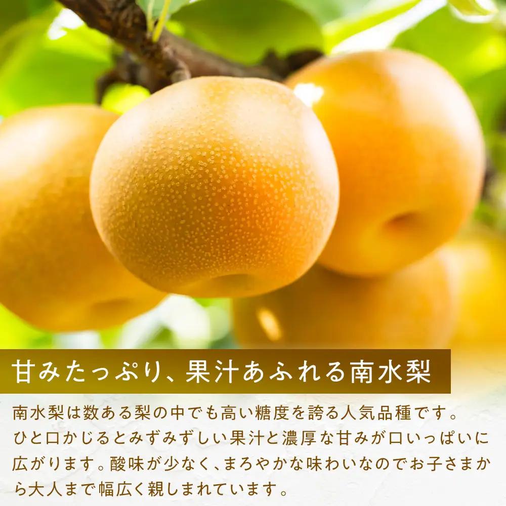 南水梨(約3kg:6玉～12玉)【2026年9月中旬以降発送予定】(さらしな青果)果物 くだもの フルーツ 旬 梨 なし ナシ 長野県 家庭用 訳あり | 梨