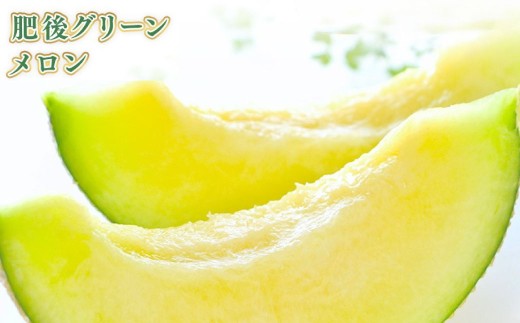 訳あり 肥後グリーン 1玉 メロン 青肉 青肉メロン 肥後 グリーン くだもの 果物 フルーツ デザート 果実 果汁 果肉 国産 熊本県産 【 2026年7月上旬～下旬発送予定 】
