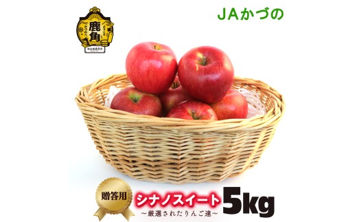 シナノスイート 贈答用 5kg【JAかづの】●2026年10月中旬頃発送開始 鹿角産 りんご シナノスイート 5kg 林檎 リンゴ 完熟 旬 県産りんご お中元 お歳暮 贈り物 お見舞い ギフト 秋田県 秋田 あきた 鹿角市 鹿角 送料無料 かづの農業協同組合