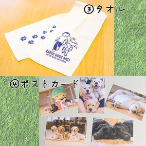盲導犬 訓練 支援寄附 記念品［タオル・エコバッグ など盲導犬協会オリジナルグッズ］「行きたい場所に安心していける社会に…」補助犬（15,000円）
