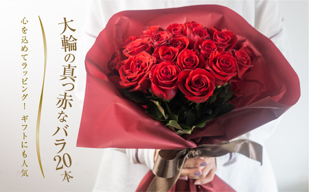 バラ 花束 大輪 赤 20本 (40cm) ブーケ 薔薇 ローズ 生花 プレゼント 花 ギフト  植物 フラワー 田原市 切り花 切花 10000円 1万円