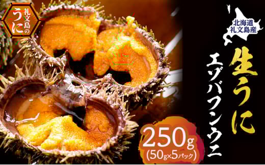 北海道 礼文島産 採れたて バフンウニ 塩水パック 50g×5 生うに 生ウニ 塩水うに 魚貝類 雲丹