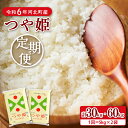 【ふるさと納税】【令和6年産 米 定期便】 特別栽培米 つや姫 計 30kg | 60kg（ 10kg × 3ヶ月 | 10kg× 6ヶ月） 発送時期が選べる 山形県産 【JAさがえ西村山】2024年 先行予約 新米 白米 精米 こめ ごはん ご飯 おにぎり 弁当 お取り寄せ 送料無料 山形県 河北町