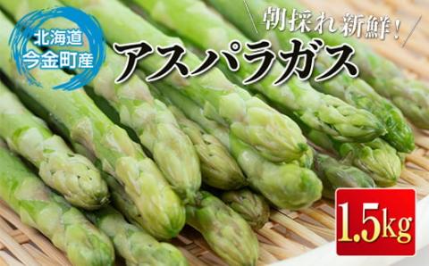 【先行予約】朝採れ新鮮アスパラ 1.5kg Mサイズ 野菜 秀品 北海道産 バーベキュー BBQ キャンプ 旬野菜 アスパラガス 栄養満点 冷蔵発送 F21W-120