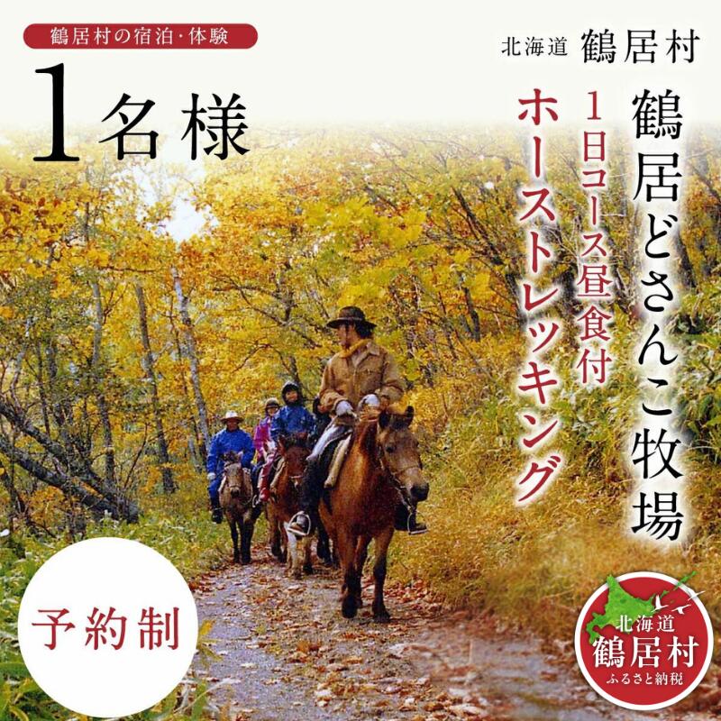 【ふるさと納税】 北海道 鶴居村 どさんこ牧場 ホーストレッキング 1日コース 昼食付 1名様 観光 トラベル ホテル 旅行 宿泊 アクティビティ
