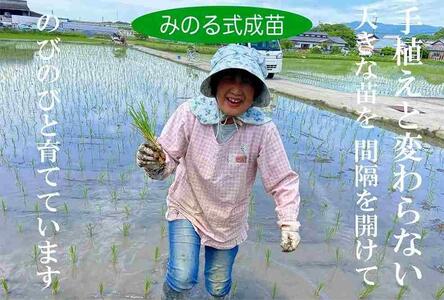 【令和7年産 新米予約】伊賀米コシヒカリ特別栽培米「真米」白米10kg