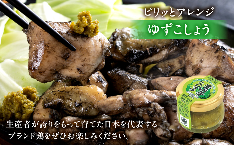 みやざき地頭鶏炭火焼・ゆずこしょうセット 地鶏 炭火焼 炭火焼き 鶏の炭火焼 じとっこ 地頭鶏 ゆずこしょう 柚子胡椒 名物 特産品 鶏肉 おつまみ