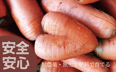 にんじんジュース　700ml×3本