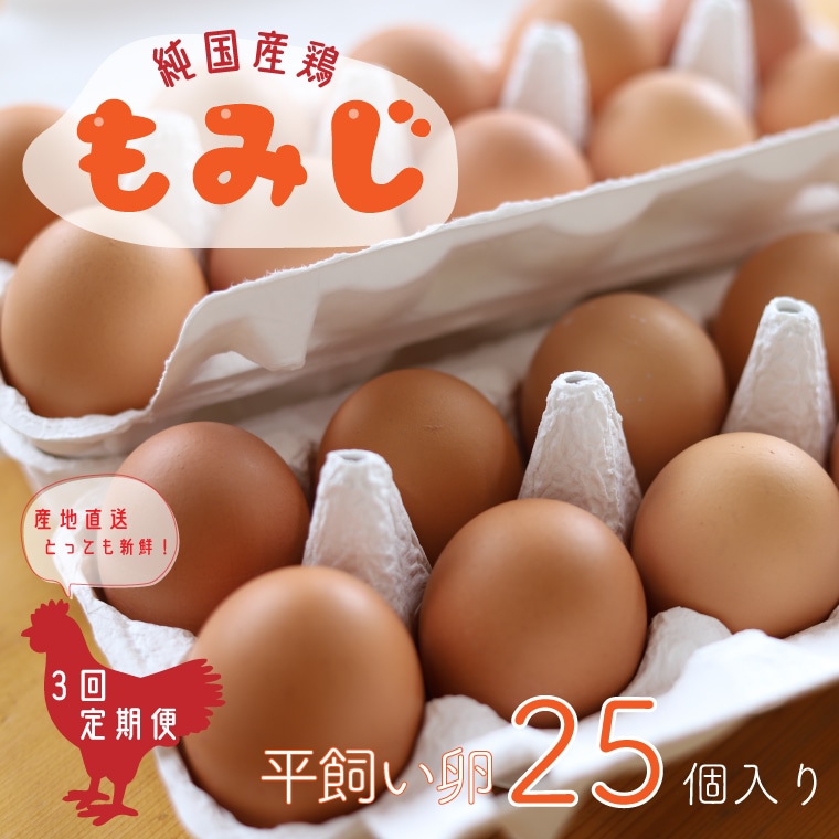 【純国産鶏もみじ】平飼い卵25個入り【3ヶ月連続お届け】 (AJ006-2)