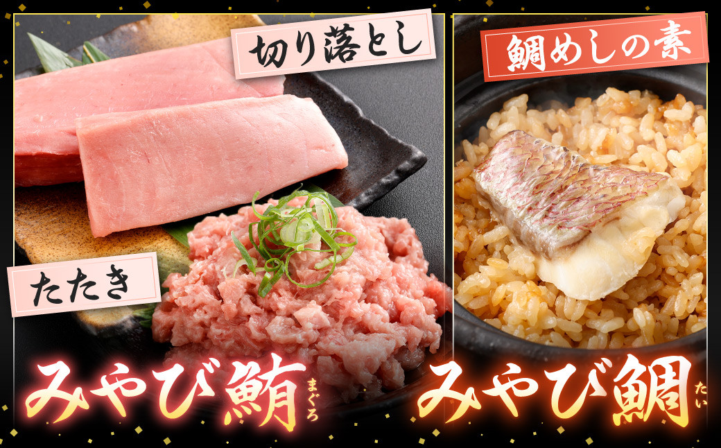 みやび鮪切り落とし・粗挽きネギトロ 計600g ＋ 鯛めしの素 2袋