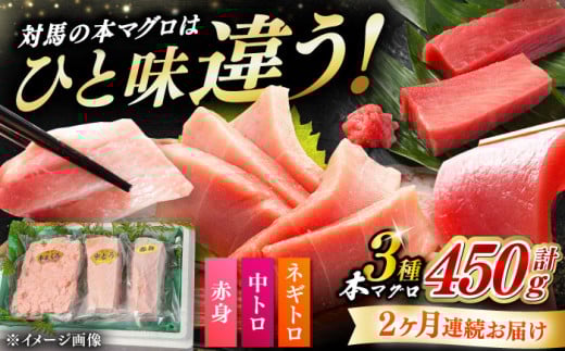 【全2回定期便】対馬産 本マグロ 3種 計450g（赤身/中トロ/ネギトロ）《対馬市》 【対海】 新鮮 マグロ 鮪 本鮪 赤身 中トロ ねぎとろ 海鮮 冷凍 刺身 まぐろ [WAH032]