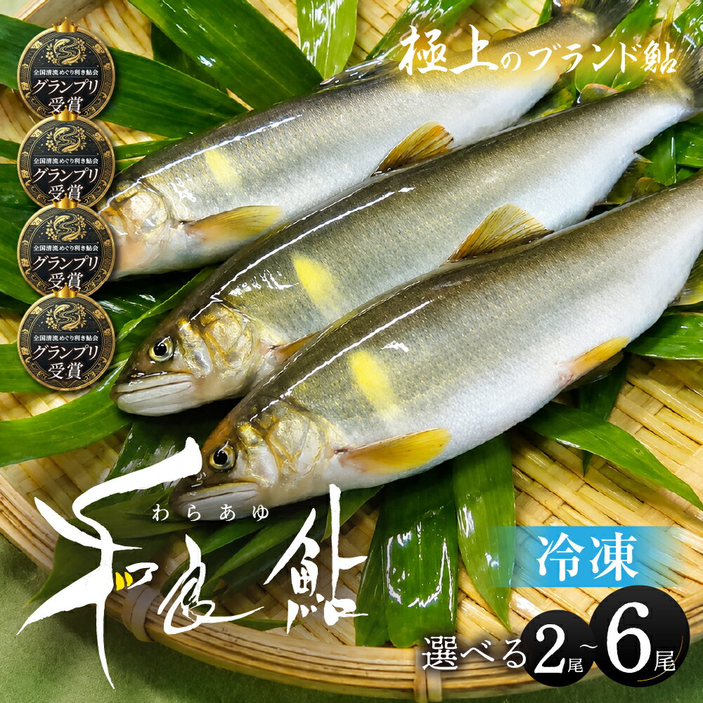 【ふるさと納税】極上ブランド鮎「和良鮎」選べる 2尾〜6尾 冷凍 鮎 あゆ アユ 魚 さかな 川魚 河魚 塩焼き 贈答 ブランド 貴重 希少 ギフト お中元 BBQ バーベキュー 天然 わら わら鮎 活〆 大きい 大 サイズ 尾数 2尾 4尾 6尾 セット 詰め合わせ 選べる 岐阜県 郡上市