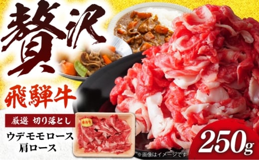 飛騨牛 厳選切り落とし250g（ウデ モモ ロース 肩ロース）（冷凍） 牛肉 肉 ブランド肉 岐阜市 / 羊Diningひとみしり [ANIF005]