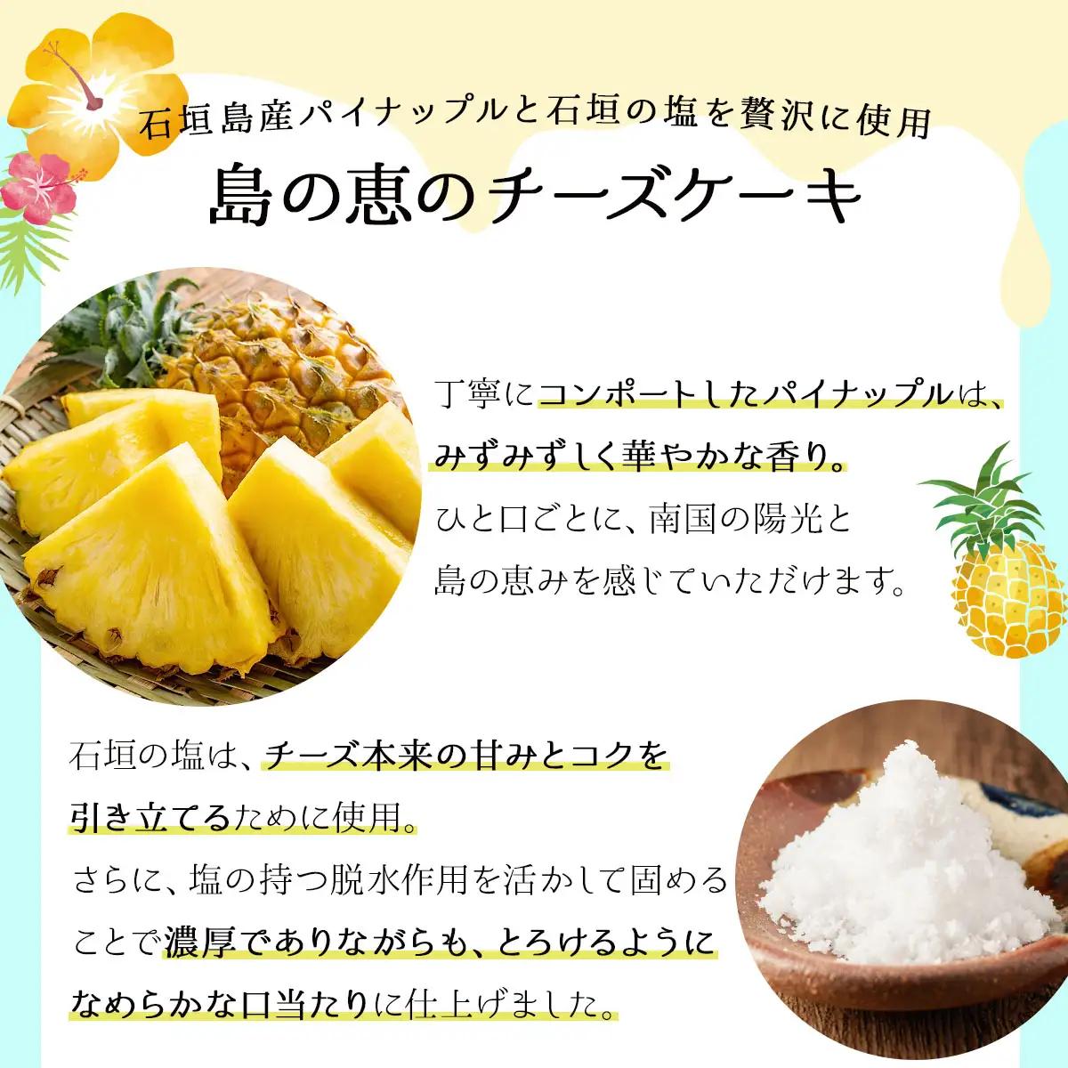 石垣の海のチーズケーキ 15cm 