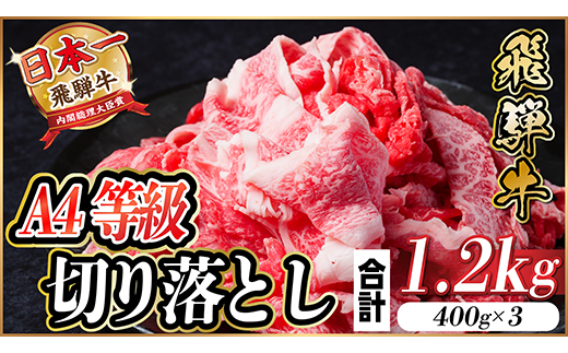 飛騨牛 A4等級 切り落とし 1.2kg【配送不可地域：離島】【1487292】
