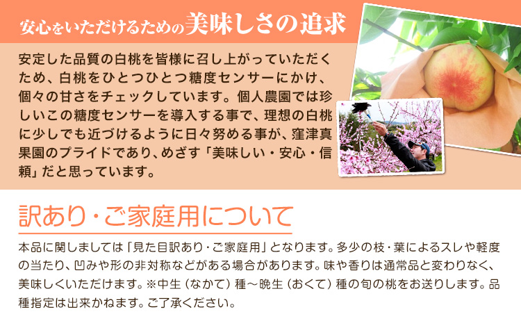 【2026年先行予約】ご家庭用 旬の桃 (なかて~おくての品種) 約2kg (5~8玉) 窪津真果園【配送不可地域あり】（北海道・沖縄・離島）《7月中旬-9月中旬頃出荷》岡山県 浅口市 フルーツ モモ