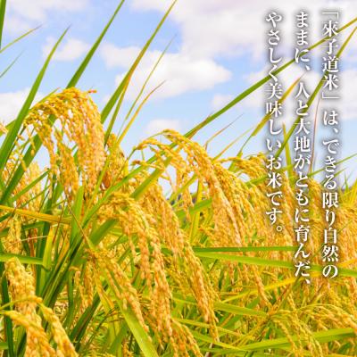 ふるさと納税 淡路市 來子道米 〜きしどうまい〜 450g×3個 【栽培期間中、無農薬無肥料】　ar08004 |  | 01