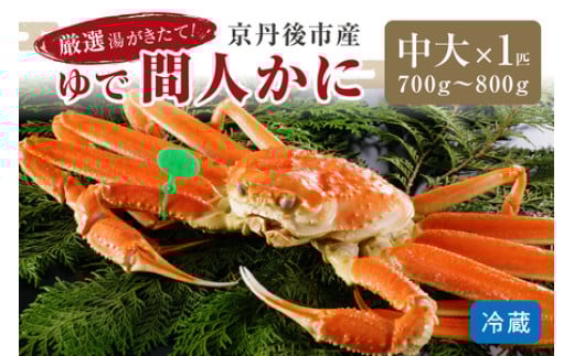 
            かに卸問屋がお届け・自社釜ゆで！幻のゆで間人ガニ 700ｇ～800ｇ 中大サイズ/北畿水産 松葉ガニ 松葉蟹 松葉がに 松葉かに ズワイガニ ボイル カニ 姿 ゆでかに　HK00216・HK00220
          