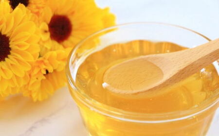 【純粋国産】和歌山県産百花はちみつ600g★2024年7月下旬頃より順次発送【TM56】