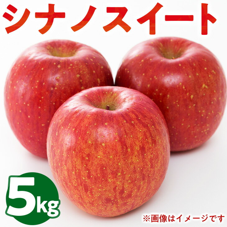 【ふるさと納税】50-E 伊藤りんご園 シナノスイート 5kg｜りんご リンゴ 林檎 果物 くだもの フルーツ 福島県 会津坂下町 ※2025年10月上旬頃より順次発送予定