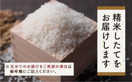 【令和7年産 新米】 飛騨コシヒカリ 「飛騨の米」  白米（玄米対応可） 10kg | こしひかり 飛騨産 精米 白米 玄米お米 飛騨高山 ファームジネンいいむら GG011