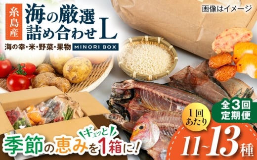【全3回定期便】糸島産 魚 米 野菜 果物 厳選詰め合わせ MINORI BOX Lサイズ 糸島市 / emma.Inc / 米 魚 野菜 果物 詰め合わせ [AOP028]