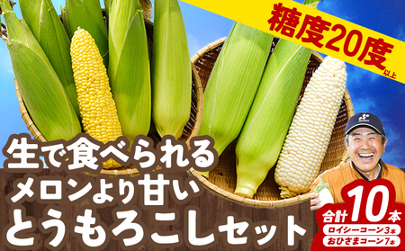 北海道産 とうもろこし 2種 10本 (おひさま7本 ロイシー3本) 糖度20度以上