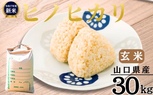 【先行予約／令和7年新米】 ヒノヒカリ 30kg ［玄米］［山口県宇部産］ 【令和7年度 新米 ヒノヒカリ 30Kg 玄米 山口県産 宇部産 地元米 農家直送 宇部市産 美味しい お米 寒暖差 霜降山麓 綺麗な水 高品質米 新鮮米 収穫直後 国産米 ご飯 炊き立て 美味しさ長持ち】