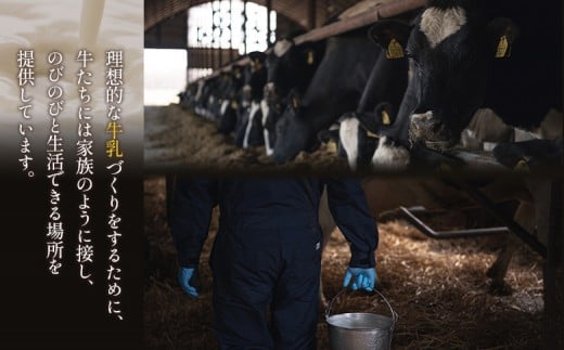 【Google口コミ星4.9の洋菓子店】極濃チーズサンド(4個入)×1　特選ギフト 味覚のふきだまり（13個入 計450g）