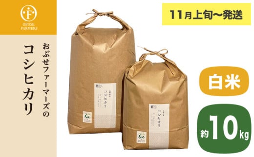 コシヒカリ 白米  約10kg ［ おぶせファーマーズ ］ お米 コメ おこめ ご飯 精米 長野県産 【2025年11月上旬～発送】 ［FK-12］