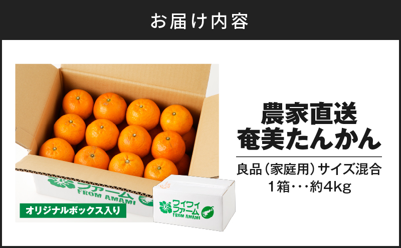 【2027年先行予約】農家直送 奄美たんかん 良品（家庭用）4kg　A067-001