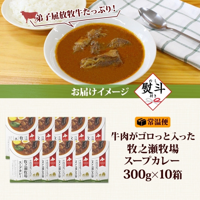3027.無地熨斗 ビーフ スープカレー 300g 10袋 カレー ビーフカレー スープ 牛 牛肉 放牧牛 牧場 レトルトカレー レトルト食品 レトルト 牧之瀬牧場 送料無料 北海道 弟子屈町_イメー