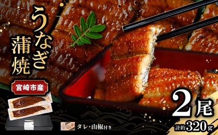 うなぎ 蒲焼 うなぎ[国産 2尾 320g]