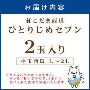 【0896-3】紅こだま西瓜（ひとりじめセブン）２玉入り〈先行予約〉2026年5月中旬から順次発送
