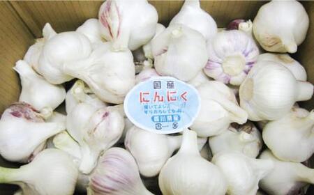 【5月上旬頃～発送】にんにく 国産 香り際立つ 生にんにく 1kg