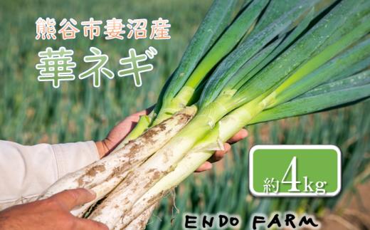 熊谷市産　はなを肥料に作られた環境保全型の循環農業から作られた華ネギ(めぬまネギ)　※11月から発送