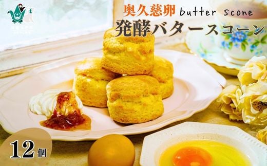 奥久慈卵と発酵バターのスコーン 12個セット 冷凍発送 ｜ スコーン バター 卵 人気 焼き菓子 おいしい サクサク しっとり クリーム アイス 紅茶 冷凍 アフタヌーンティー 牛乳 茨城県 常陸太田市