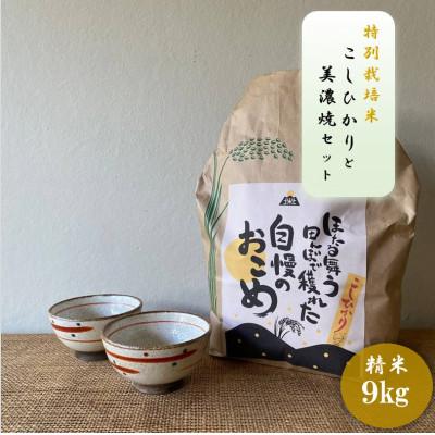 ふるさと納税 多治見市 【令和7年産:精米】特別栽培米コシヒカリ(9kg)+【美濃焼】赤絵かいらぎ煎茶碗