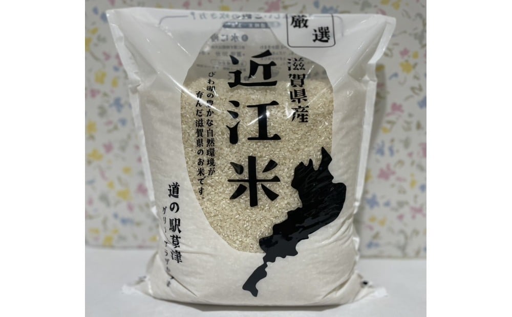 
            令和7年産　近江米コシヒカリ（白米・玄米）5kg
          