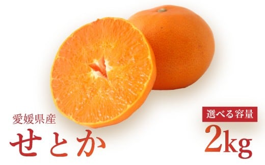 【2026年3月上旬より発送】せとか 2kg