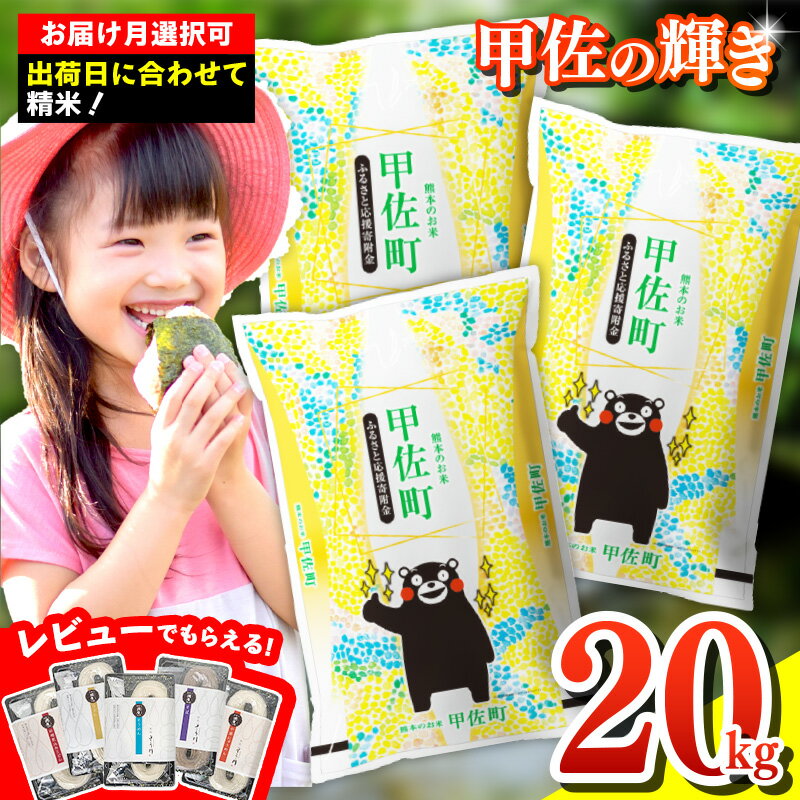 ★令和5年産★『甲佐の輝き』精米20kg（5kg袋×4袋）【配送月選択可！】／出荷日に合わせて精米 ／国産 ブレンド米 白米 訳あり 規格外 送料無料 マイスター 複数原料米 国内産 熊本産 熊本県産 【価格改定】ZB