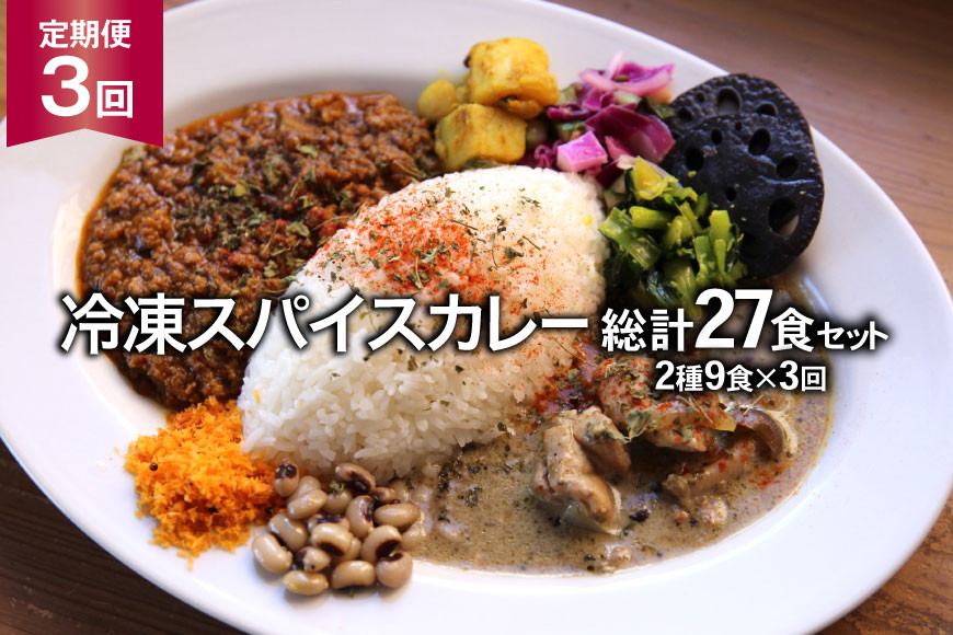 
            【3回定期便】冷凍スパイスカレー2種 9食×3回 総計27食 [カレーライフ 長崎県 雲仙市 item2252]
          
